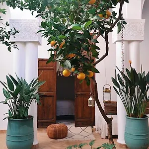  Couette-café Nosade Venue Maroc